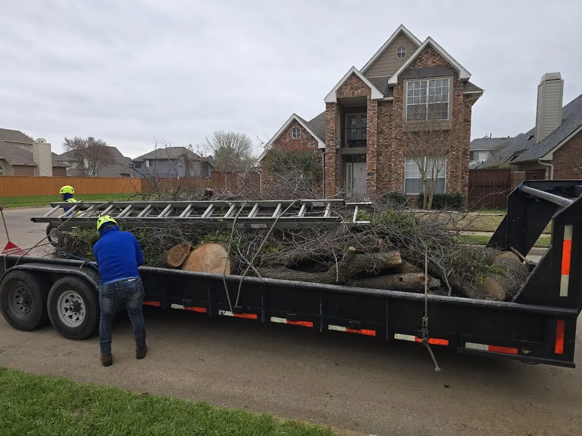 Expert Lot Clearing with proper safety equipment in Ashby